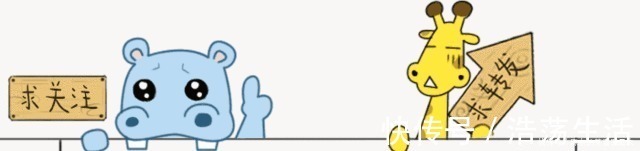 剖腹产|40w+3天,剖腹产一枚小千金,分享怀女儿时的孕期经历!