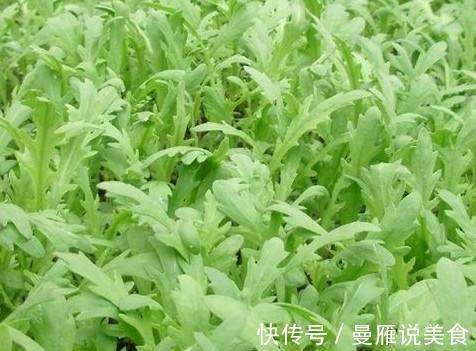 通便|农村遍地都是宝，3种好吃的野菜，润肠通便，排毒养颜，养肝护肝