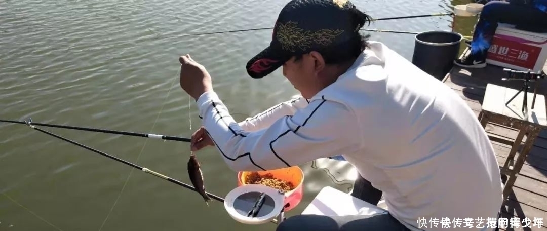 水域|夏钓鲫鱼选择好这三点,不爆护都难——盛世三渔