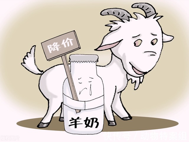 睾丸炎|一男孩喝羊奶,喝出了事情,医生说:未来可能会面临不育的风险