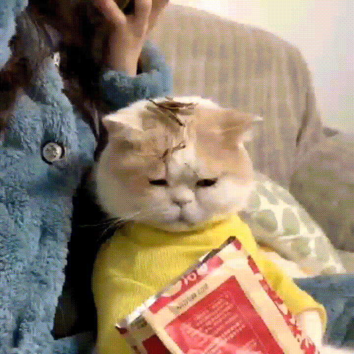 |搞笑GIF:这个女人居然不珍惜我,我美丽头顶居然用来放瓜子壳!