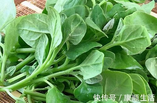 铁苋菜|人到中年,不妨多吃3种食物,滋肝明目、推迟衰老,谁吃谁健康