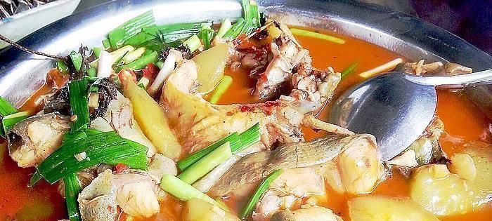 被人“误解”最多的鱼,5元1斤无人买,比甲鱼营养比鲫鱼好吃