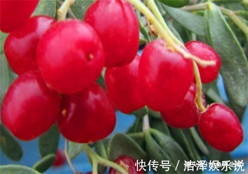 肠道|秋天来了，女性想要显年轻，可多吃以下食物，消除皱纹，排毒消脂