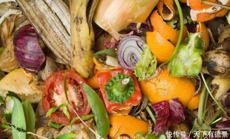 室内养花“3种水”可以喷,让植物叶子油绿不发黄,其他的不要用