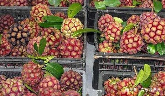 四季豆|女性到中年后,4种食物要多吃,排毒美容,养护肌肤,防止脑溢血