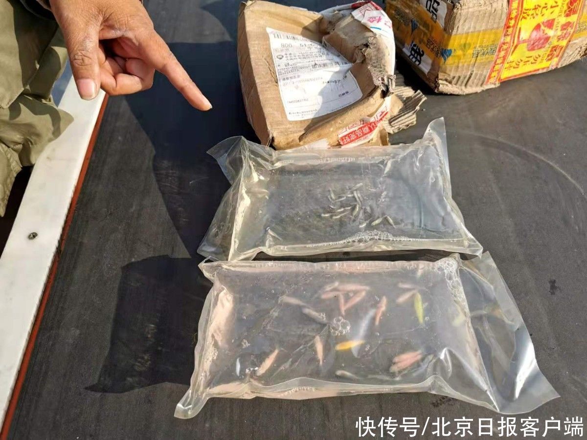 中通|中通一快递站停摆，4000余件快递难回家