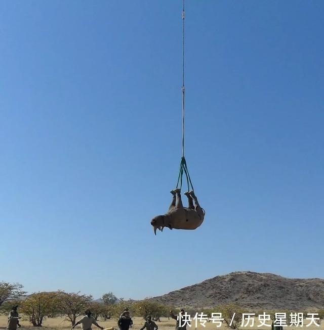 |搞笑诺贝尔奖揭晓!“无聊的知识”又双叒叕增加了