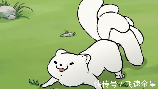 有兽焉|非人哉的主角们基本都以人类形态出现,白泽变回去一次遭了殃