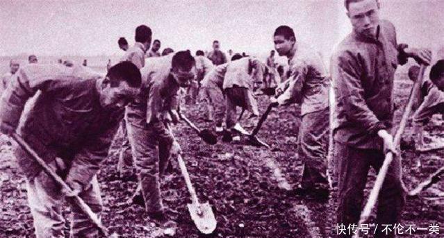 关键|几十万战俘被集体枪决为什么无一人反抗老兵有3个关键原因!