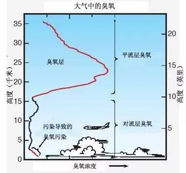 保护地球的臭氧怎么成了首要污染物？