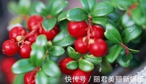 排毒|女人爱美适合常吃3种食物,排毒养颜,延缓衰老,肌肤更水嫩