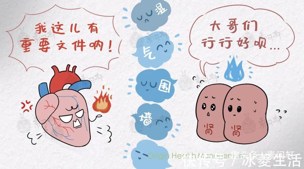 伸筋草|一边上火一边双脚怕冷，上热下寒体质怎么过冬今天彻底讲清楚！