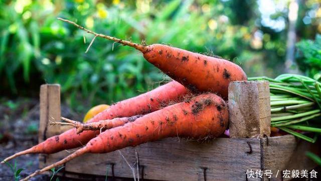 买胡萝卜，你会买带泥的，还是干净的菜农建议这3种不要买