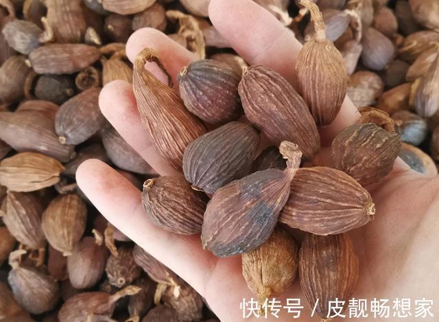 陈皮|卤猪蹄，这三味料缺一不可！放对了，猪蹄软糯入味，口感贼棒