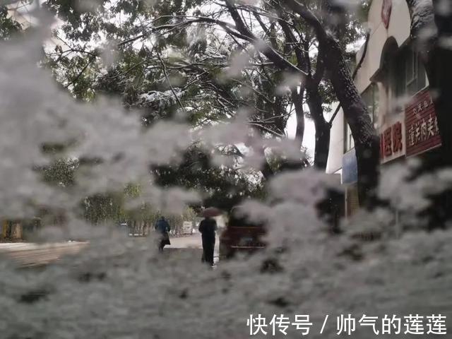 雪景|惊艳！平凉迎来入秋第一场雪，刷爆朋友圈！