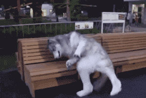 女儿|爸爸带娃隔离14天女儿头发炸毛,妈妈:回来后洗了一个多小时