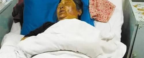 全国|人间真实!全国多人中毒,野菜吃不对,亲人两行泪