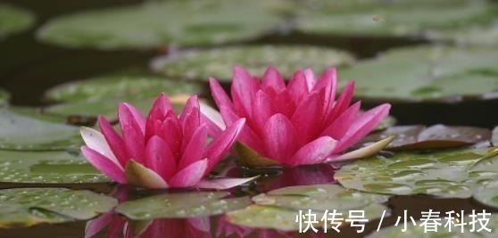 弱点!这五种事,烂在肚子里也不能对别人说,避免惹祸