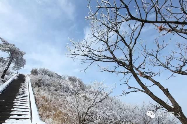 迎来|嵩山迎来冬日里的雪