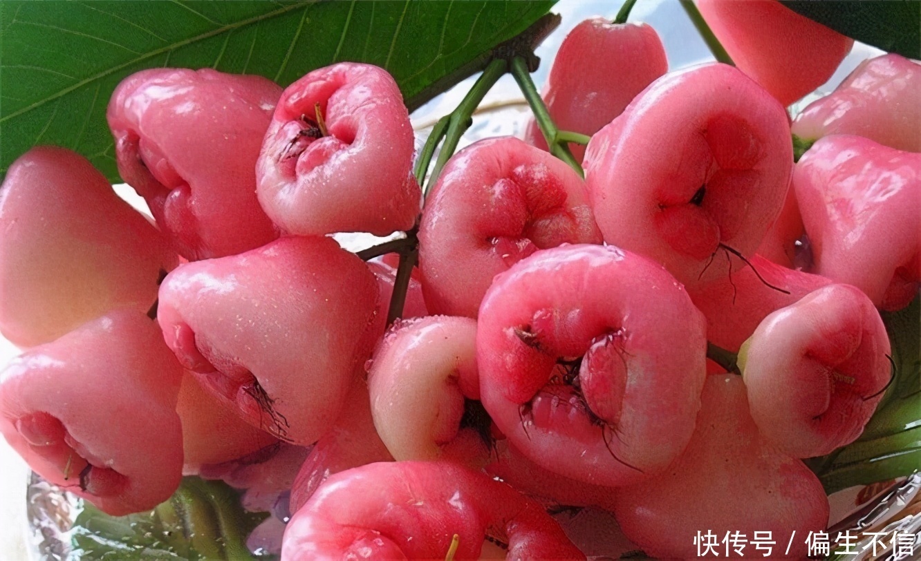 营养|女性到了中年,不妨多吃3种食物,补充营养