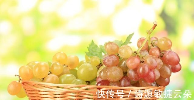 石榴|入秋后,6样应季水果要多吃,时令味道美,滋润降燥热!