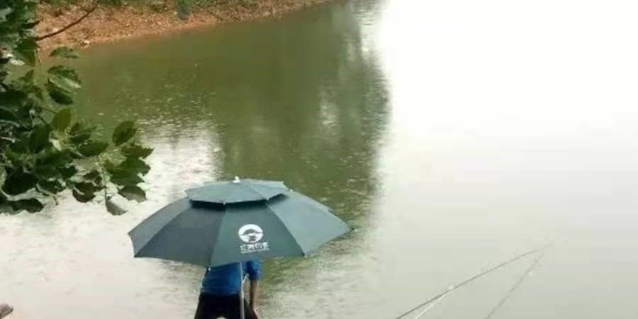 下雨时，一旦换用这鲫鱼钓法，中鱼率瞬间提高，十人有九人还不知