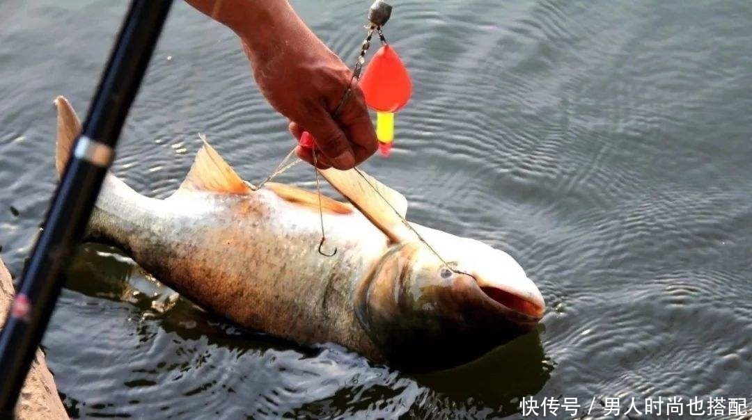 串钩|常见的四种鲢鱼钓法，有三种已经不让用了