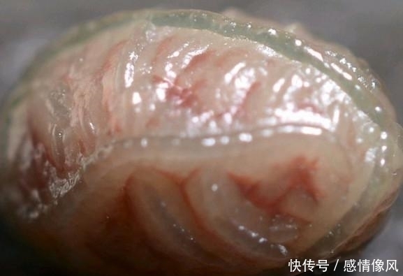 野外|年轻小伙在野外捡到一块“肉石”将其发到网上,众人赞不绝口