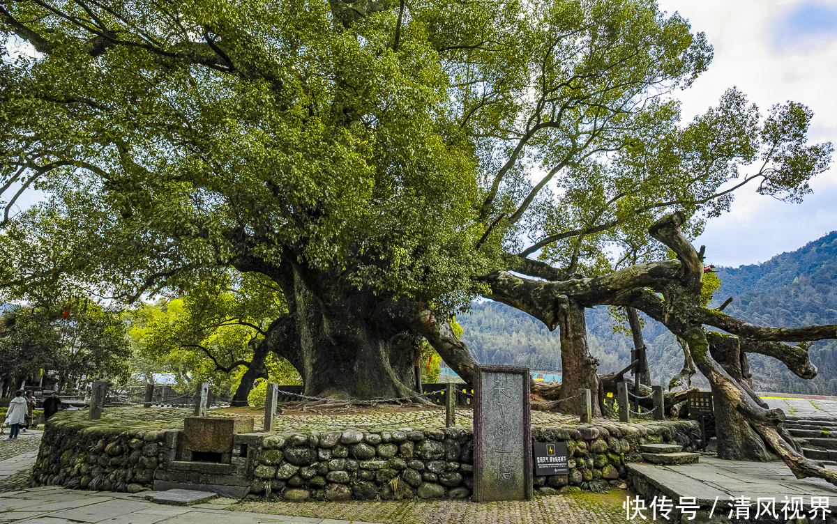 婺源赋春，游走在中国进士第一村，感受“进士之患”