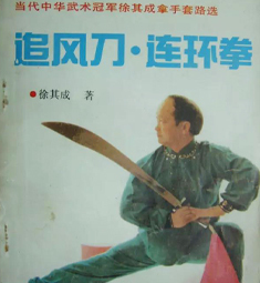 中国武术九段徐其成