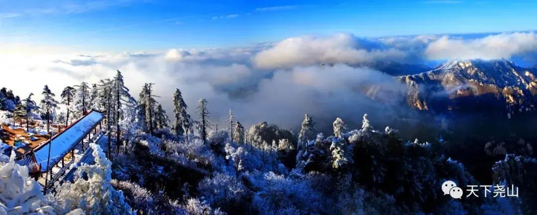 恢复|济源、平顶山、濮阳恢复！