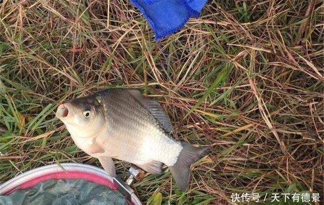 黑坑老板有这几种行为以后别再去,妥妥的坑你没商量