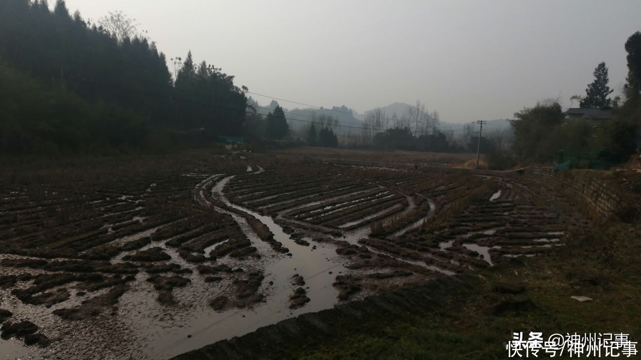 乡村冬闲田，一道靓丽的风景！