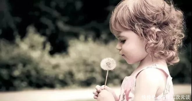 文化|贵族精神的三大支柱:文化教养、社会担当、自由灵魂