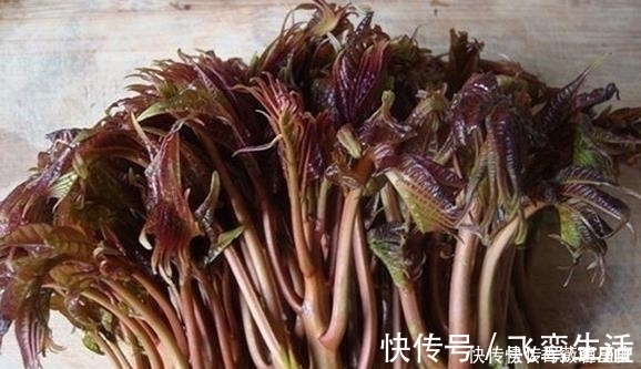 养分|被称“天下第一山珍”的它，养肝又利肺，却有中毒隐患！