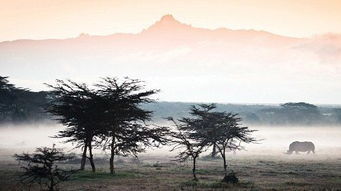 非洲与欧亚大陆对比,分析非洲为何没有强大的游牧文明和农耕文明