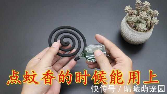 蚊虫|风油精的“值钱作用”,好多人不懂,涨知识了