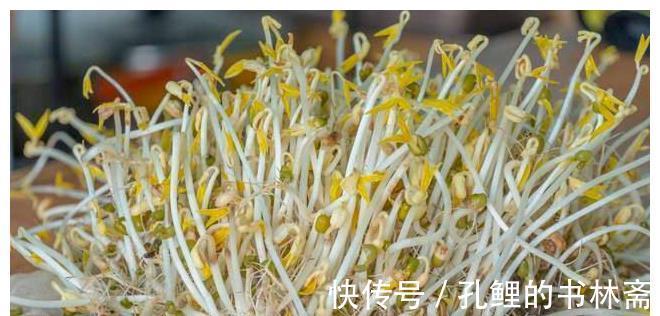 绿豆|在家发豆芽原来这么简单,又粗又嫩不会烂,做法超简单,4天开吃