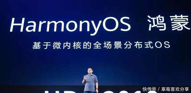 |搞笑外国人:走哪吃哪大挑战!什么地方都能藏东西?