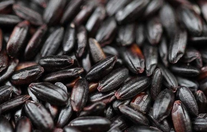 黑米|黑米是长寿米，坚持吃的人不容易出现癌症，但两种吃法却危害极大