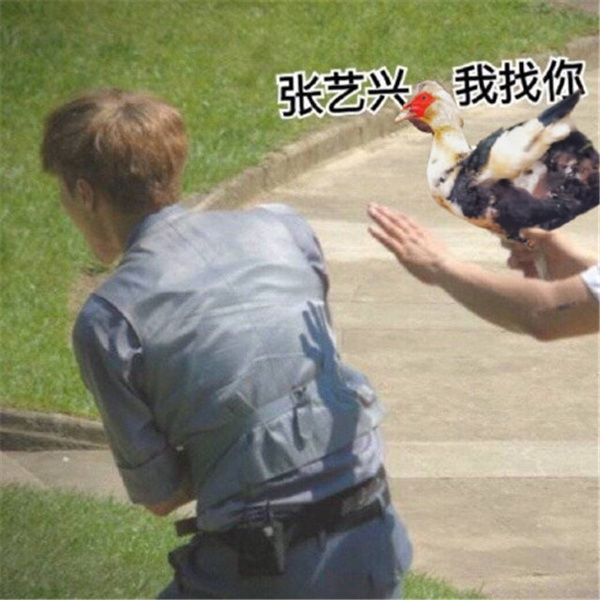 张艺兴，风里雨里，尼古拉斯·灯在《向往的生活》第五季等你