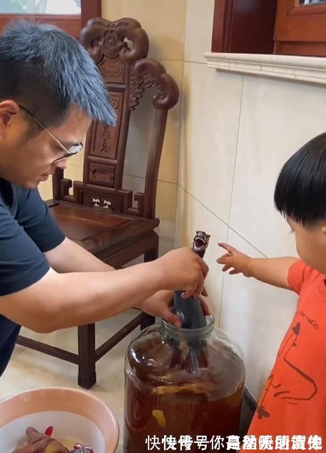 奥特曼|爷爷泡了10年的药酒,被孙子泡了“奥特曼”,爸爸还能不能喝