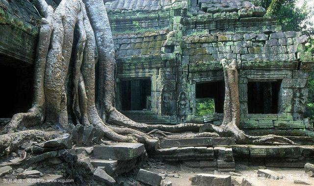 厢房!新聊斋|邪道炼妖