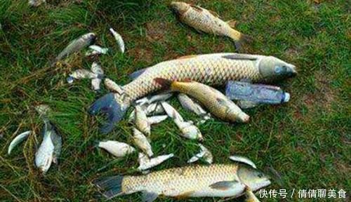 浮漂|钓具选择“坑”很多,这些华而不实的钓具,多数没啥用!