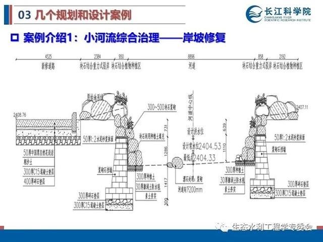 河流|「专家视角」许继军：河流生态修复理念、技术与实践