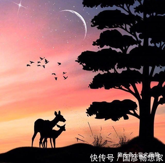 妻子怀孕五个月男人要求实行AA制,孩子生下来全家后悔了