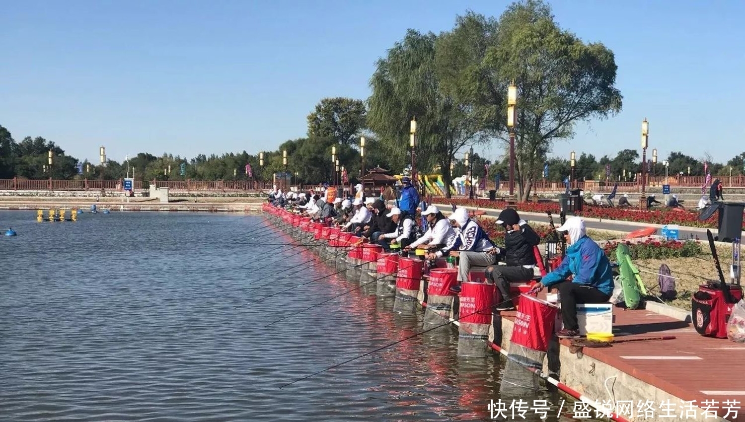 什么气味最能吸引鲤鱼？钓鲤鱼饵料味型的调配技巧