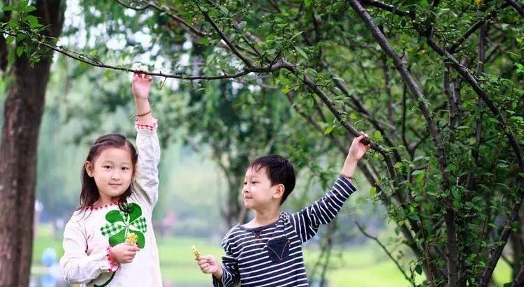 秒怂|二宝欲上前“捣乱”,被姐姐一个“眼神杀”吓退,乖怂表情亮了