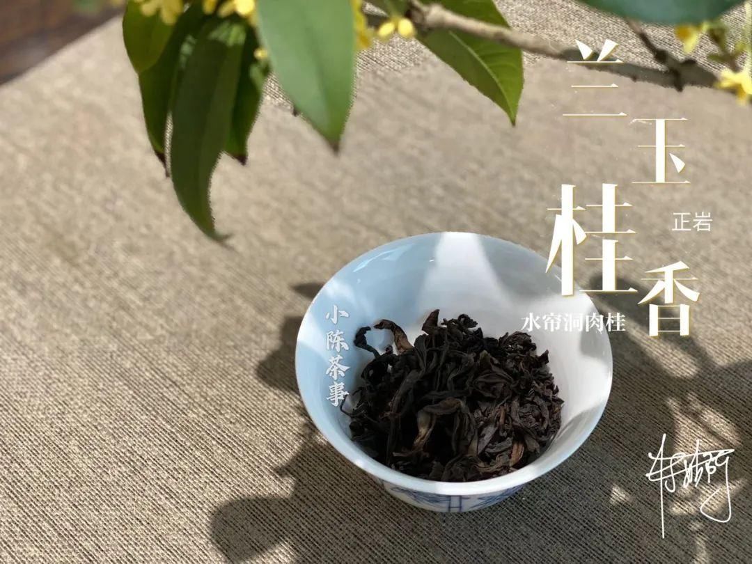 学术讨论|武夷岩茶还魂汤的学术讨论,专家不喝,茶客必留,这是为什么呢